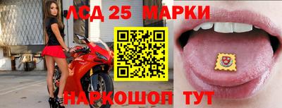 шишки Обнинск