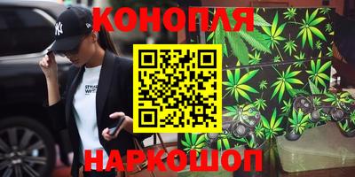 шишки Обнинск